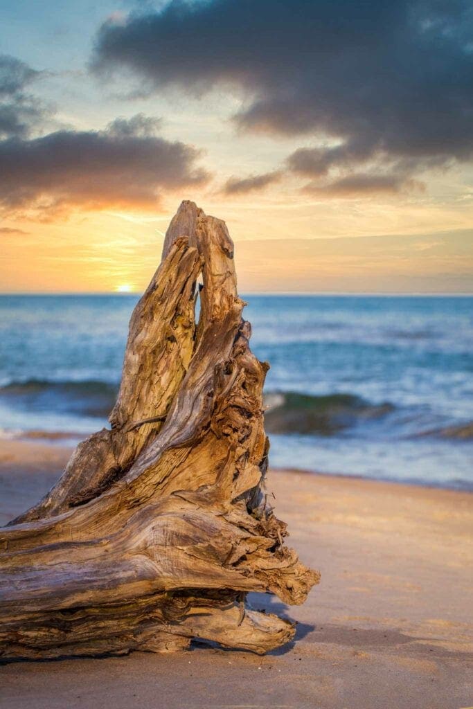 Weathered driftwood standing on a sandy Door County beach at sunset