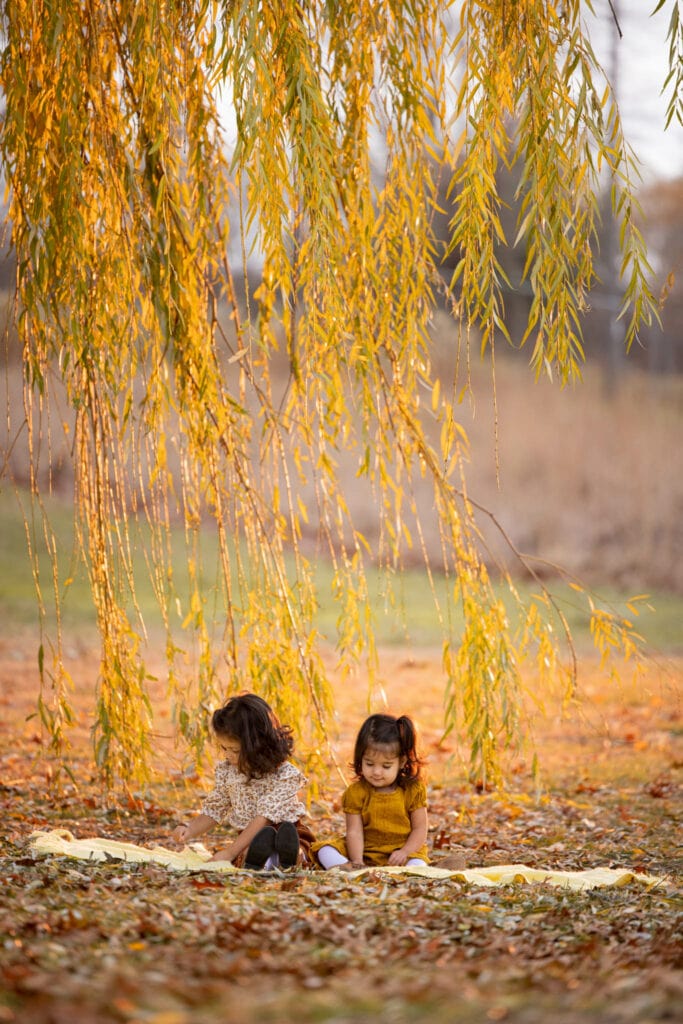 La Crosse WI Family Photography Myrick Park