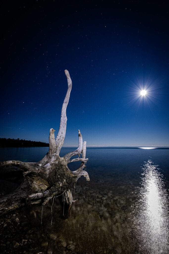 Newport State Park Dark Sky