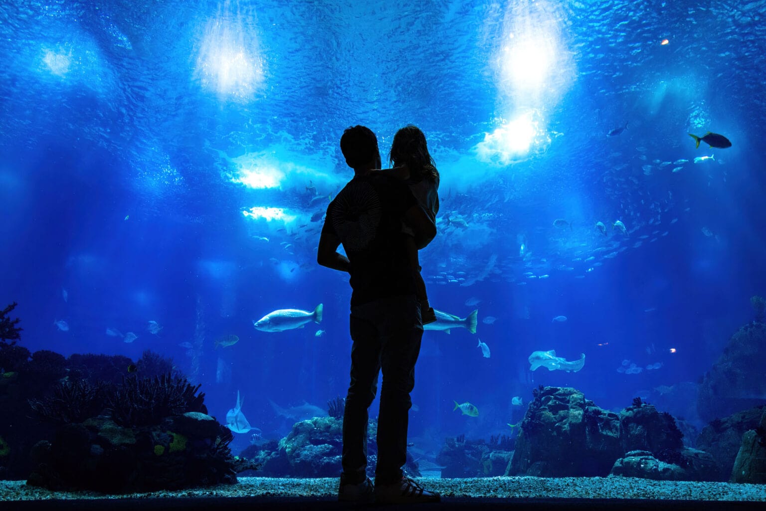 Father and child silhouetted against a blue-lit aquarium