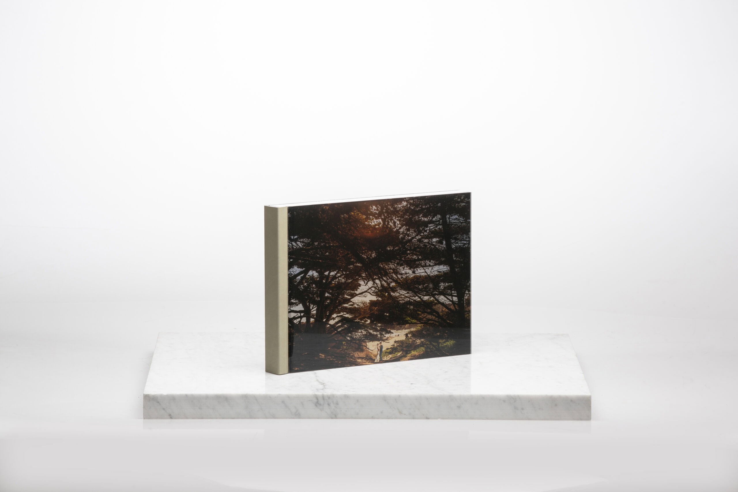Leather-bound album open to a full-spread portrait