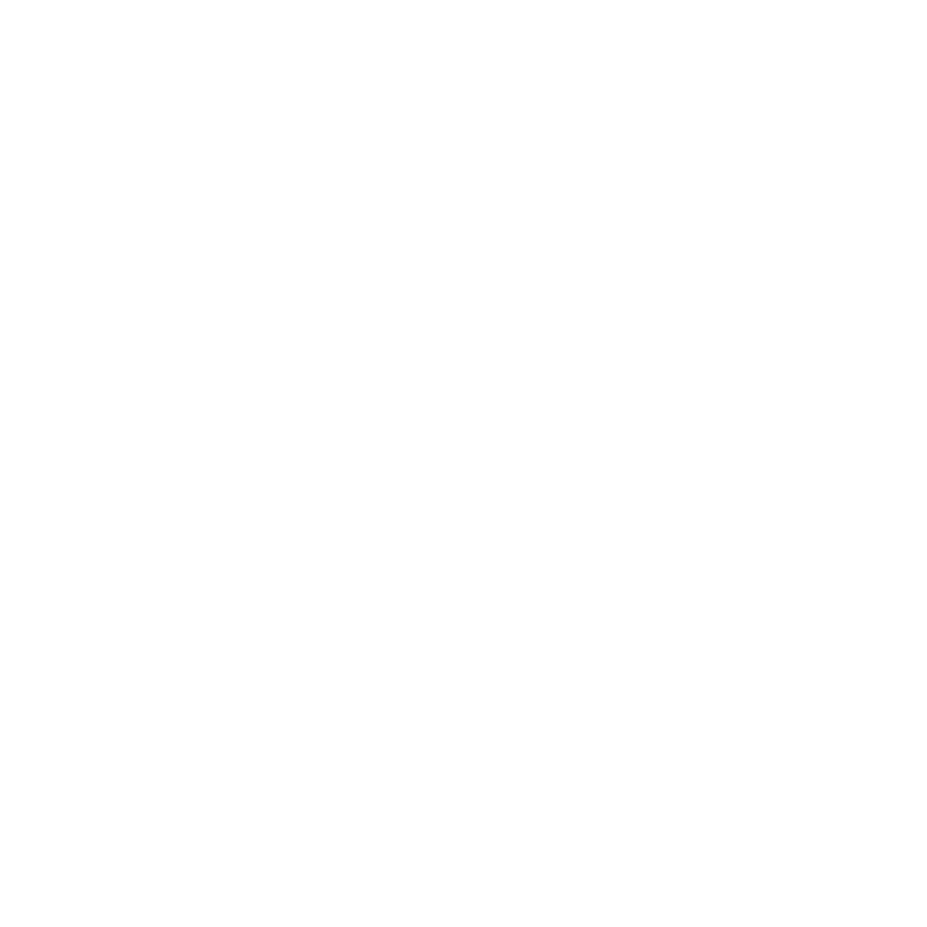 Flashmasters white logo