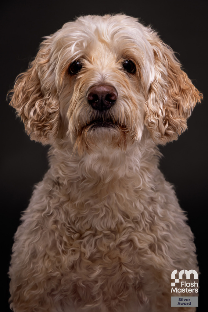 Award-winning portrait by J.L. Wiswell Photography, La Crosse WI