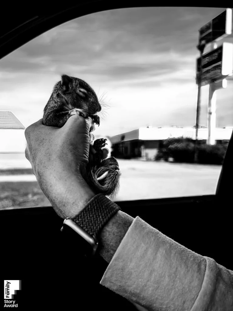 Award-winning family documentary story by J.L. Wiswell Photography, frame 6