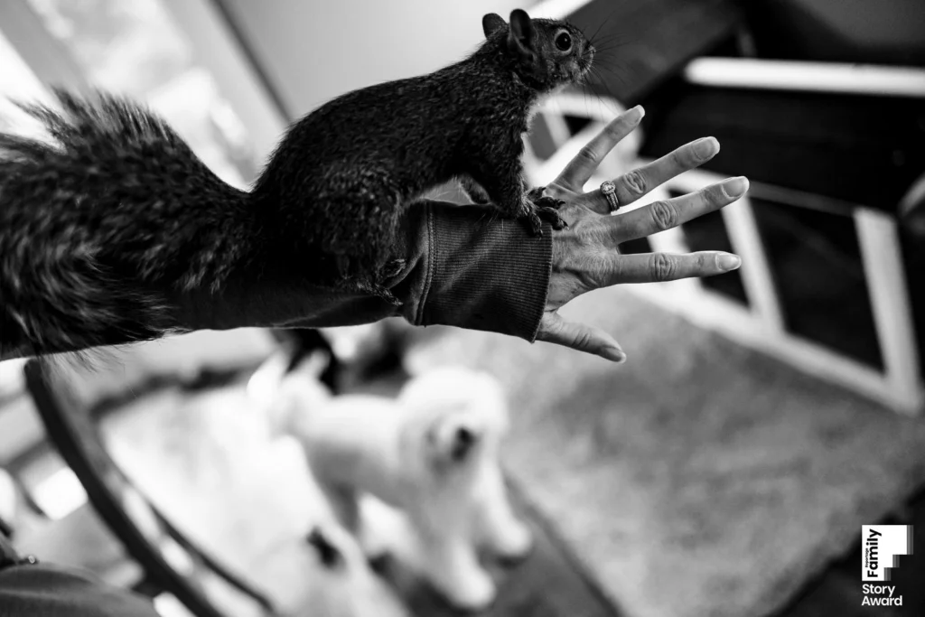 Award-winning family documentary story by J.L. Wiswell Photography, frame 9