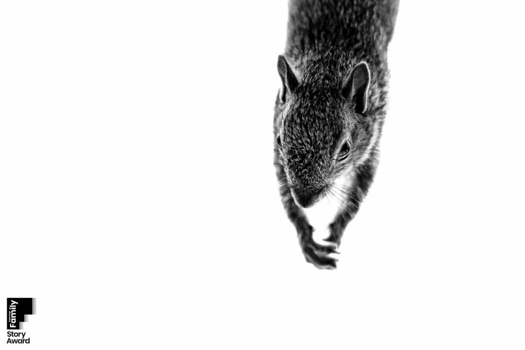 Award-winning family documentary story by J.L. Wiswell Photography, frame 11