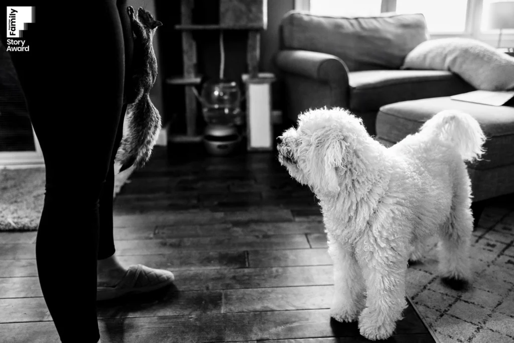 Award-winning family documentary story by J.L. Wiswell Photography, frame 15