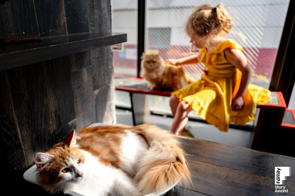 Award-winning family documentary story by J.L. Wiswell Photography, frame 7